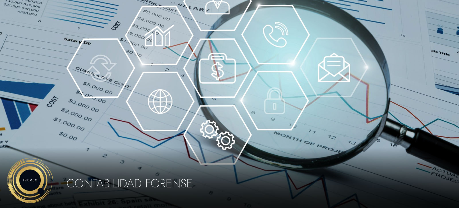 contabilidad forense